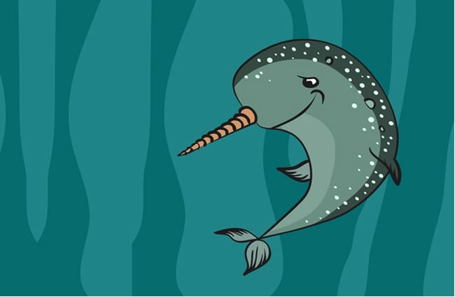 Narwhal - Description, Habitat, Image, Diet, and Interesting Facts