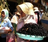 Platter Of Fried Tarantulas In Cambodia