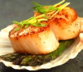 Pan-Seared Scallops Served On A Scallop Shell. Photo By: (C) Hhltdave5 Www.fotosearch.com 