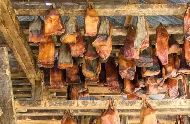 Greenland Shark drying house, Iceland Photo by: (c) michaklootwijk www.fotosearch.com