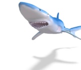 3D Rendering Of A Blue Shark Photo By: (C) 3Dclipartsde Www.fotosearch.com