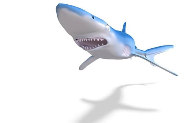 3D rendering of a Blue Shark Photo by: (c) 3DClipArtsDE www.fotosearch.com