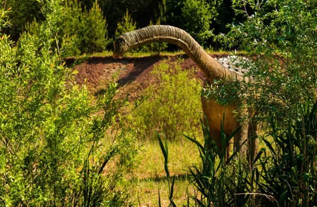 Illustration of a Brachiosaurus in the shrubbery