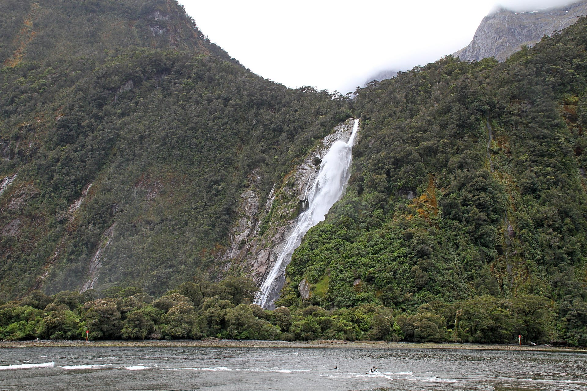 https://commons.wikimedia.org/wiki/Category:Fiordland_National_Park#/media/File:Milford_Sound_Waterfall_5_(30822786813).jpg