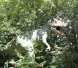 Allosaurus Image In Dense Foliagephoto By: Angela Marie Henriettehttps://Creativecommons.org/Licenses/By/2.0/
