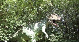 Allosaurus image in dense foliagePhoto by: Angela Marie Henriettehttps://creativecommons.org/licenses/by/2.0/