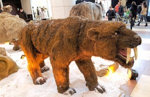 Animatronic Saber Tooth Tiger at the Sun Plaza museum.Photo by: Alexandru Panoiuhttps://creativecommons.org/licenses/by/2.0/