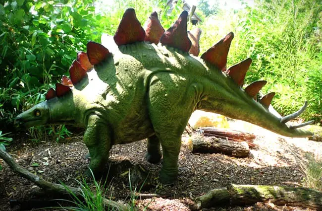 Stegosaurus replicaImage by: Henry Burrows https://creativecommons.org/licenses/by-sa/2.0/ 