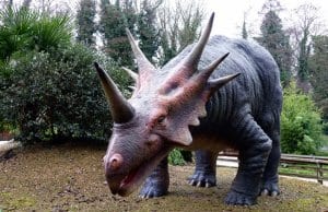 Replica of a Triceratops