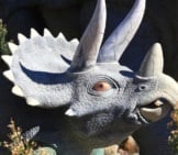 Replica Of A Triceratops