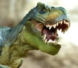 3-D Image Of A Tyrannosaurus