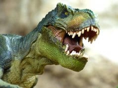 3-D Image of a Tyrannosaurus