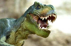 3-D Image of a Tyrannosaurus