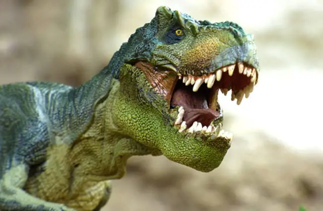 3-D изображение тираннозавра