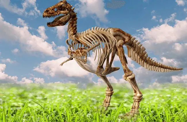 3-D image of a Tyrannosaurus rex skeleton