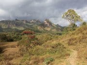 https://en.wikipedia.org/wiki/Bale_Mountains_National_Park#/media/File:Harenna_Forest_(16139095228).jpg