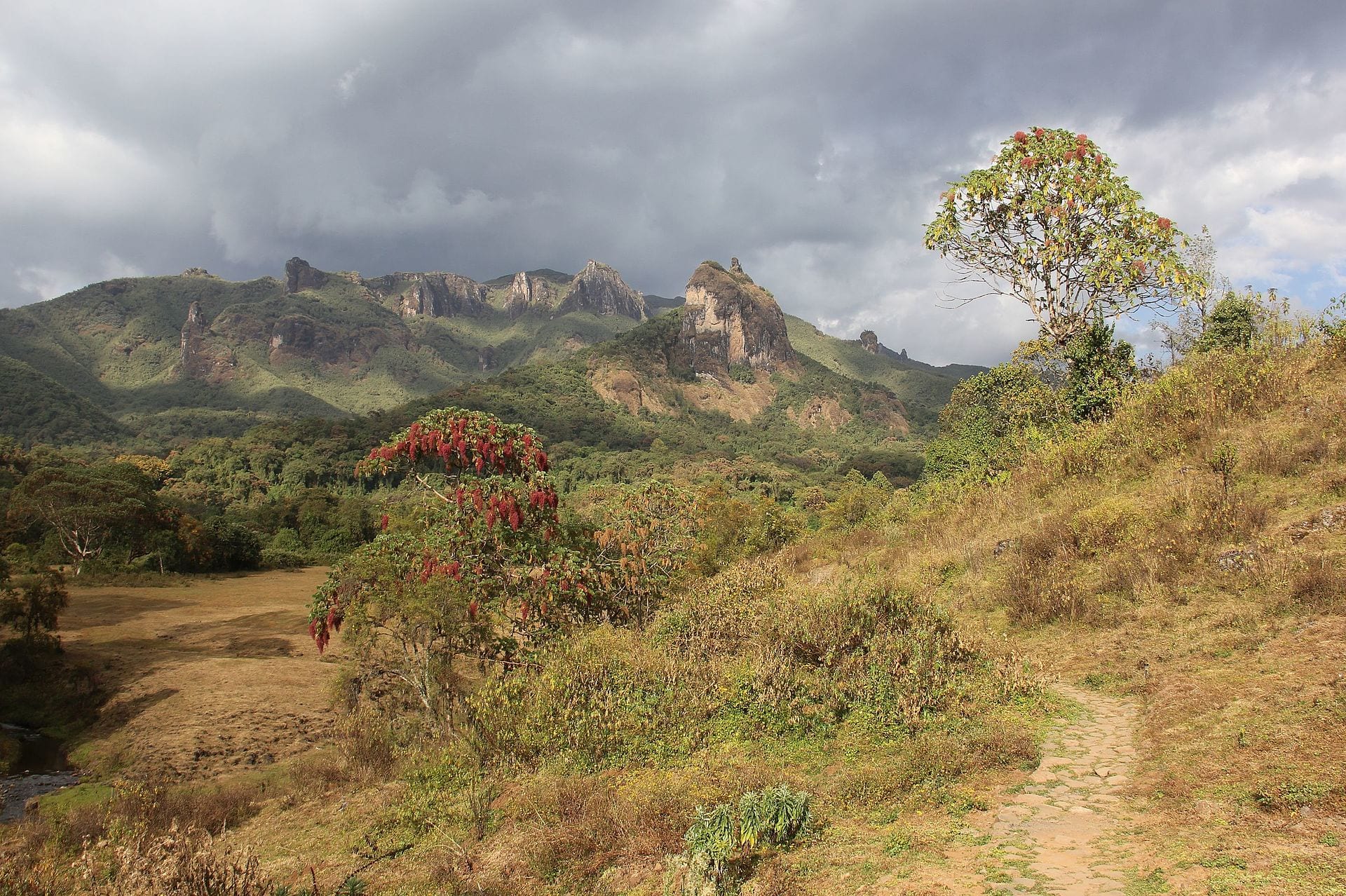 The Wildlife of Bale Mountains National Park