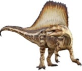 Drawing Of A Spinosaurus 