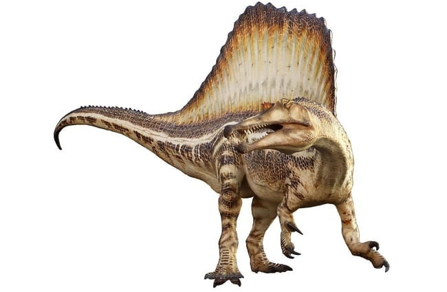 Рисунок спинозавра 