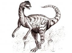 Sketch of a dilophosaurus in late 20th century vision