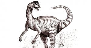 Sketch of a dilophosaurus in late 20th century vision