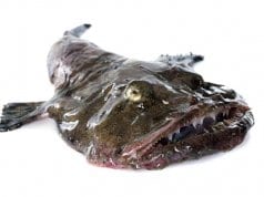 Monkfish as purchased from the fish marketPhoto by: (c) cynoclub www.fotosearch.com