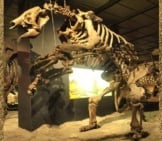 Giant Ground Sloth Skeleton Image By: Wikipedia Loves Art Participant &Quot;Kamraman&Quot; Cc By-Sa 2.5 Https://Creativecommons.org/Licenses/By-Sa/2.5