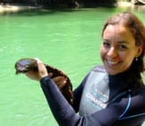 Usfws Biologist Holds An Eastern Hellbender Photo By: Usfws Midwest Region From United States Cc By 2.0 Https://Creativecommons.org/Licenses/By/2.0 