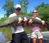 Alligator Gar Found In Modern Times In The Ochlockonee River, Floridaphoto By: Florida Fish And Wildlifehttps://Creativecommons.org/Licenses/By-Nc-Sa/2.0/