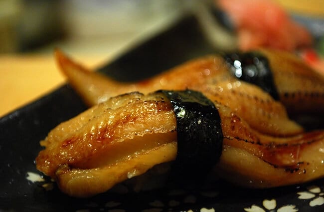 Anago Sushi, made from Conger Eel Photo by: Alpha https://creativecommons.org/licenses/by-sa/2.0/ 