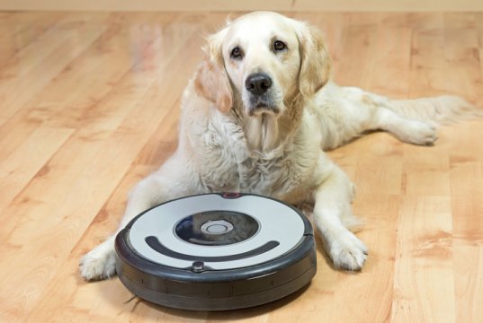 dog with vacuum by:fotosearch.com