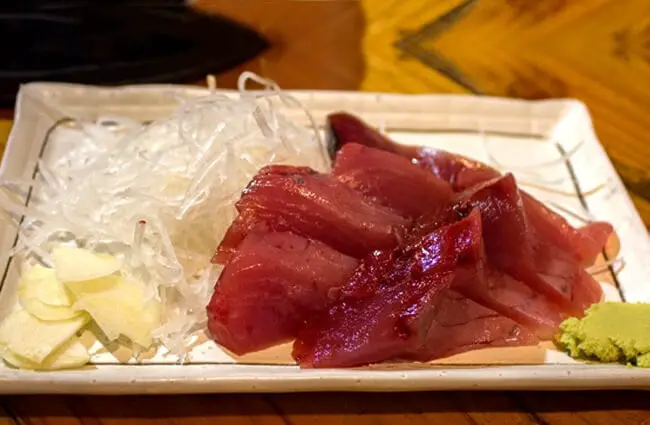 Katsuo sashimi (Skipjack tuna) Photo by: George N https://creativecommons.org/licenses/by/2.0/ 