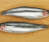 Two Sprat Fish On A Wooden Board Photo By: (C) Griffin024 Www.fotosearch.com