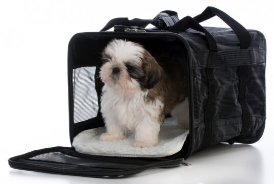 dog crate by: Fotosearch.com