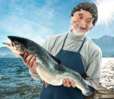 Fisherman Holding A Big Atlantic Salmonphoto By: (C) Gajdamak Www.fotosearch.com