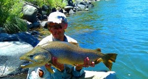 32-inch Brown Trout caught in the Truckee River, NevadaPhoto by: Chad Mellison, U.S. Department of the Interiorhttps://creativecommons.org/licenses/by/2.0/