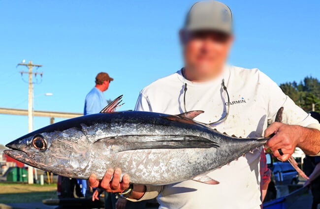 Fisherman holds up his Albacore tuna catch Photo by: Tiffany Woods, Oregon Sea Grant https://creativecommons.org/licenses/by/2.0/ 