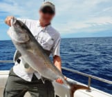A Sport Fisherman Shows His Greater Amberjack Photo By: Amanda Nalley / Florida Fish And Wildlife Https://Creativecommons.org/Licenses/By/2.0/ 