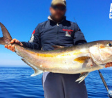 Fisherman Proudly Displaying His Large Amberjack Catchphoto By: Alcustom Boats [Public Domain]Https://Creativecommons.org/Licenses/By/2.0/