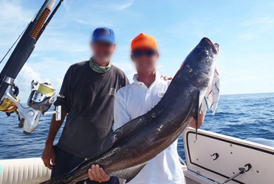 A pair of sport fishermen showing off their Cobia catchPhoto by: WIDTTFhttps://creativecommons.org/licenses/by-nd/2.0/