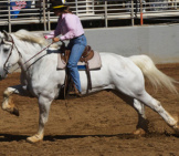 Woman Riding A Dapple-Grey Percheron Photo By: Jean Https://Creativecommons.org/Licenses/By/2.0/ 